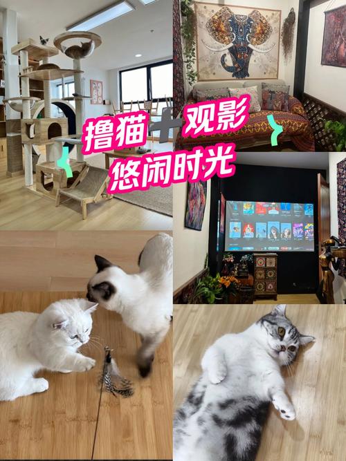 雪花飘影院日本电影推荐：高分治愈系《小偷家族》在线观看，长尾关键词：日本家庭伦理片、温情催泪电影、是枝裕和经典作品