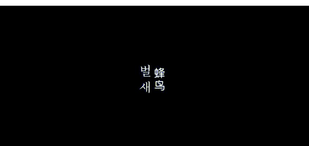 欧美熟妇hdbbw的相关介绍