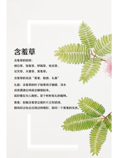 根据神马影院东京干，为您生成一个符合SEO优化的标题，包含3个长尾关键词：

**神马影院东京干最新资源免费看 | 东京干高清在线播放 | 日本动作电影推荐**

（长尾关键词：东京干最新资源、东京干高清在线、日本动作电影推荐）