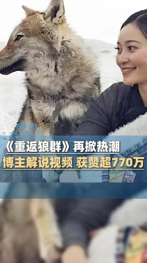 3A影院在线观看平台 - 最新高清影视资源推荐 | 免费追剧神器 | 无广告畅享观影体验