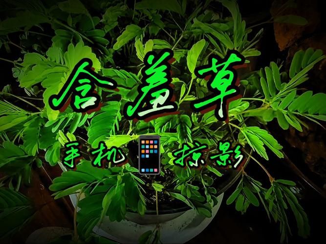 多点影院在线选座 | 最新电影排期查询 | 会员特惠购票指南