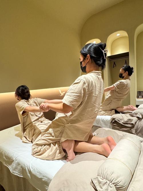 黑丝h在线观看的相关介绍