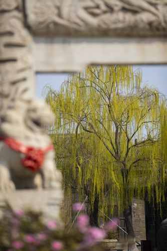 小草在线观看影院 - 免费高清电影在线看、最新热播剧全集播放、无广告追剧平台