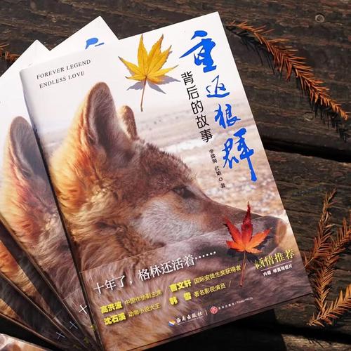 基于“亚洲美妇一区”的核心概念，为您生成一个符合SEO规范、包含3个长尾关键词的标题：

**亚洲美妇一区精品影像：熟龄魅力与东方韵味的高清珍藏集锦**