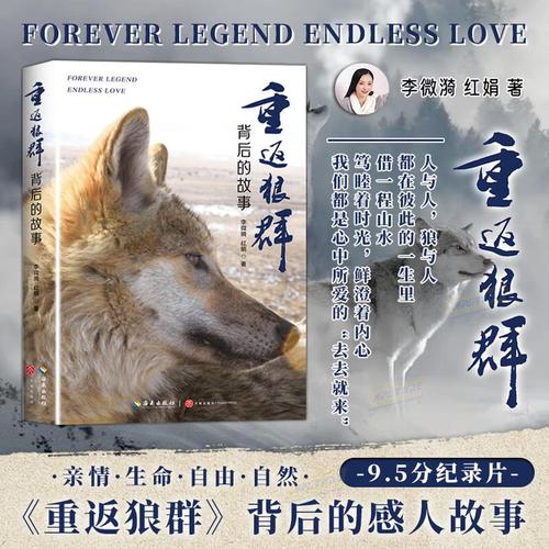 红豆影院在线观看热播影视剧，高清无广告畅享追剧新体验