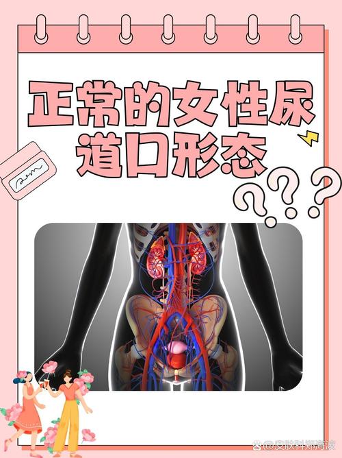 女生阴道流黄色分泌物的相关介绍